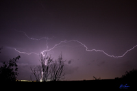 September Storm 5485